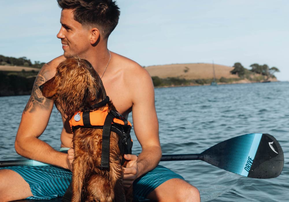 Man in swim trunks holding a golden retriever in an orange life jacket on a paddleboard in water.