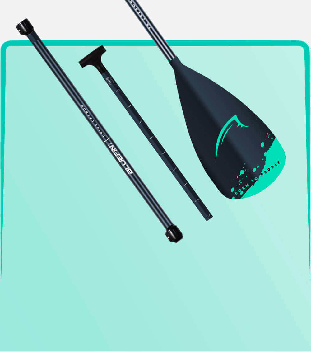 Three-piece paddle with black shaft and teal blade featuring 'Born to Paddle' design