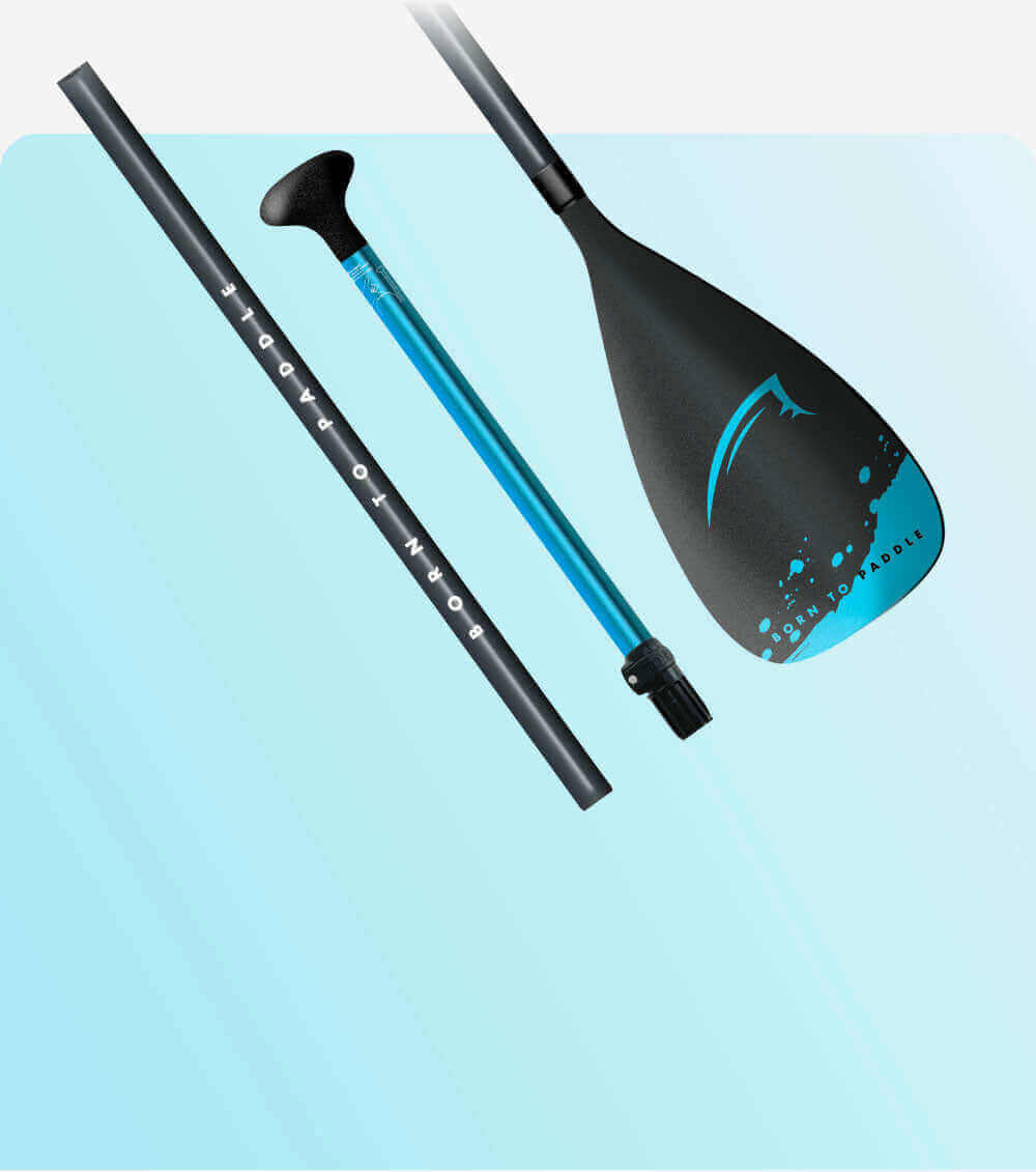 Paddle with a black blade, blue shaft, and black handle, arranged on a light blue background.
