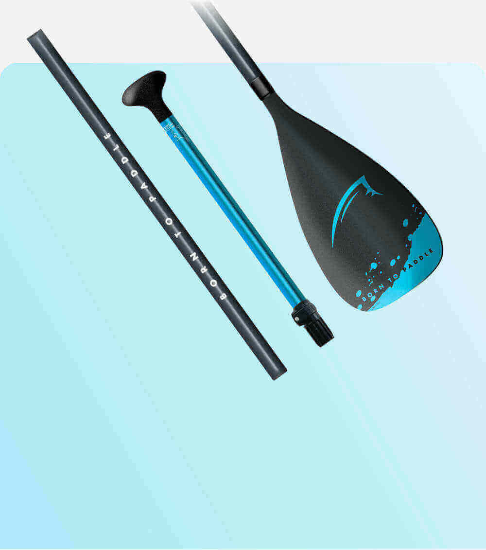 Paddle with a black blade, blue shaft, and black handle, arranged on a light blue background.