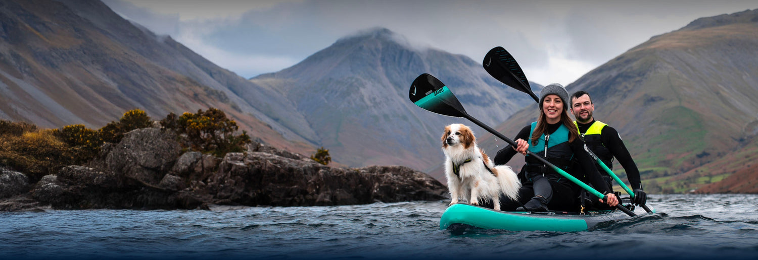 two people paddleboarding with dog